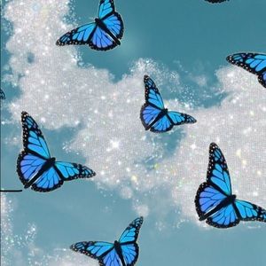 Meet your Posher, Araya